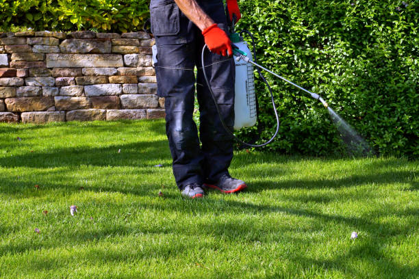 Best Pest Prevention Services  in Grandview, WA